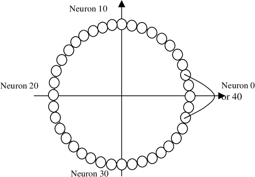 Angular Variable Can Be Represented By A Circle Of - Coloring Book (850x591), Png Download