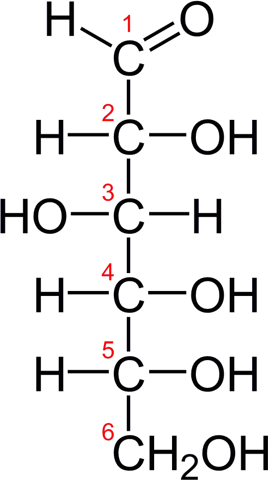 D Glucose Chain 2d Fischer - D Tagatose (589x1011), Png Download