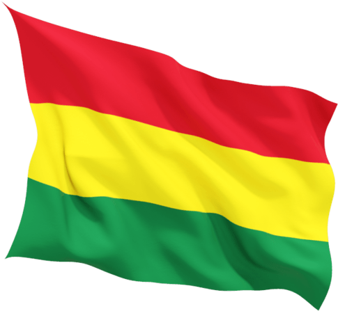 Bolivia Flag Wave - Bolivia Flag (640x480), Png Download