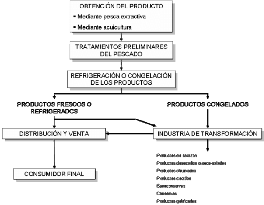 Etapas Del Proceso Productivo De La Industria Pesquera - Etapas Del Proceso Productivo (850x659), Png Download
