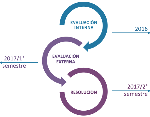 Ocultar Etapas Del Proceso De Acreditación Institucional - Graphic Design (735x410), Png Download