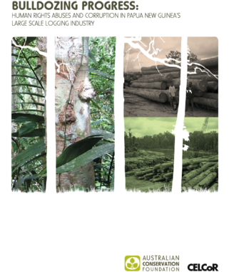 Human Rights Abuses And Corruption In Png's Large Scale - Sabal Palmetto (320x453), Png Download