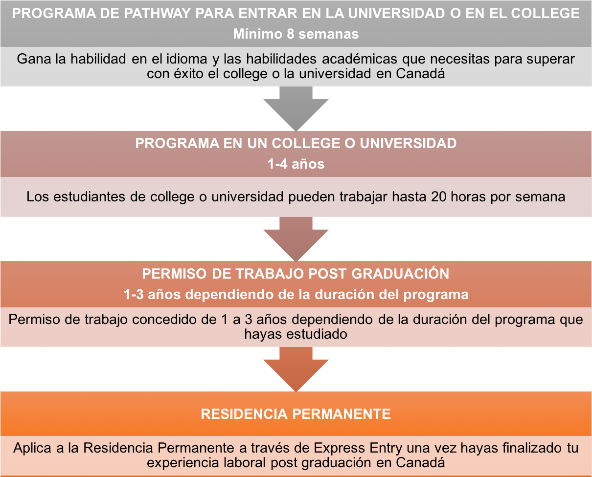Proceso De Residencia Canadiense - Three Steps Of Target Marketing (1218x978), Png Download