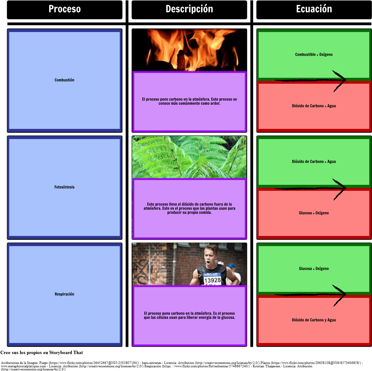 Procesos En El Ciclo Del Carbono - Carbon Cycle (1248x1241), Png Download