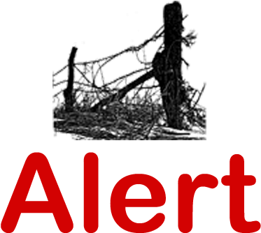 Facebook Twitter Google Pinterest Linkedin Digg Del - Hp 622129 (600x400), Png Download