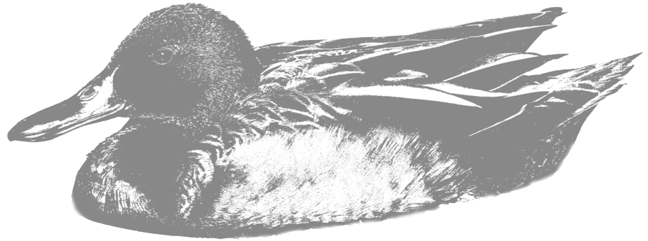 Cinamon - New Mexico (1000x1000), Png Download