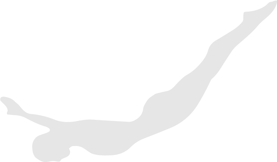 Swan-dive - Silhouette (1038x702), Png Download