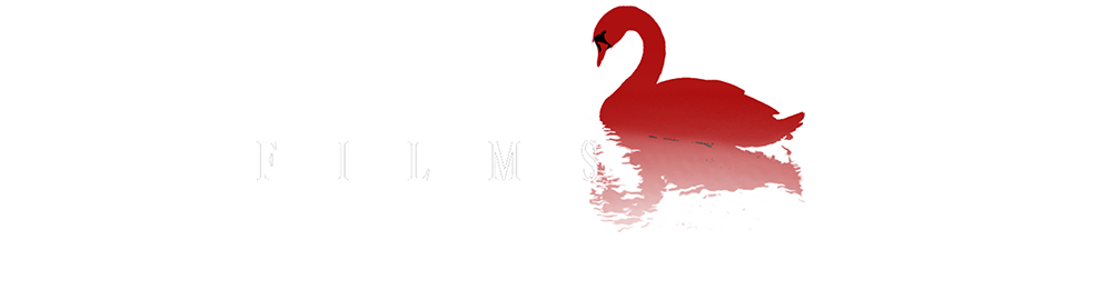 Black Swan (1008x320), Png Download