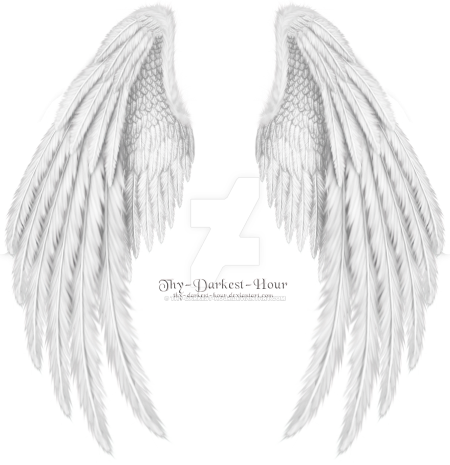 Похожее Изображение - Folded Wings (879x909), Png Download