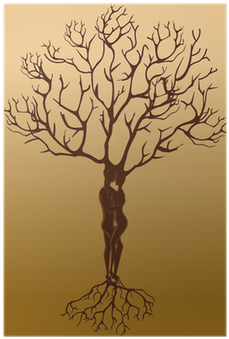 Ketubah Love Tree Iphone 5c Case. Tree (400x400), Png Download