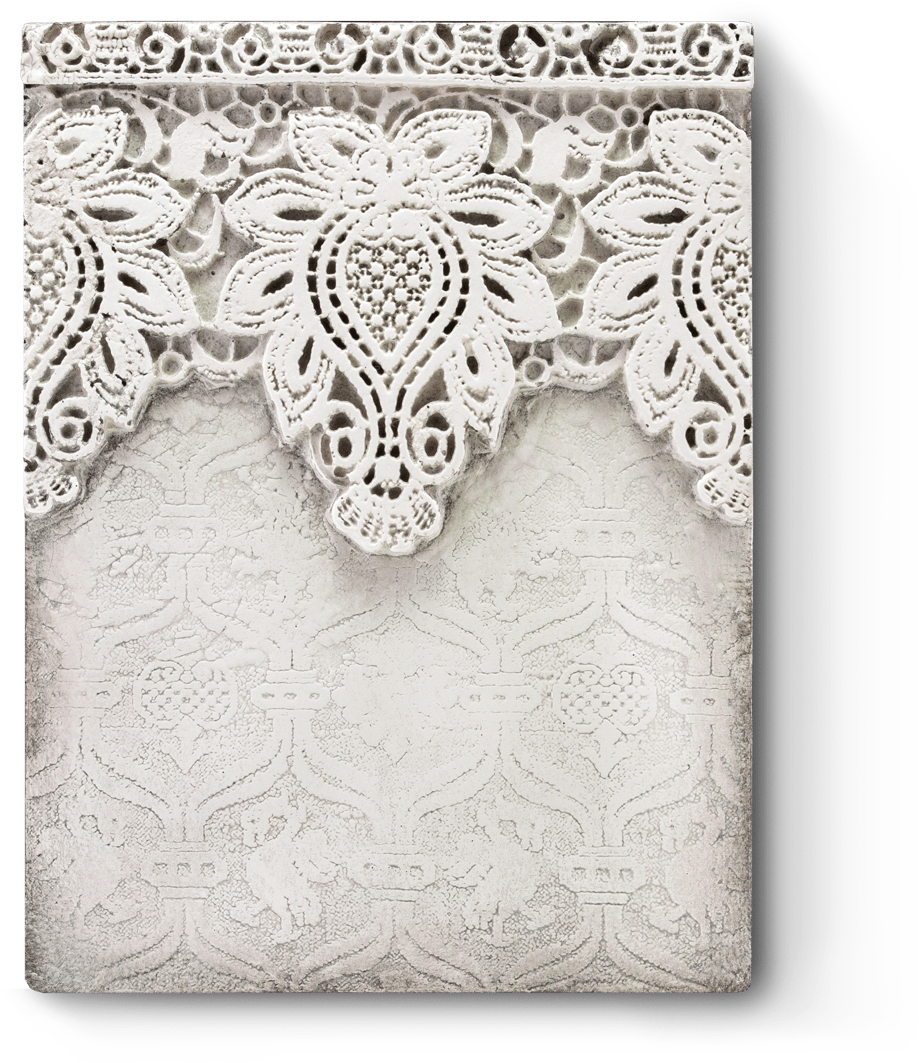 Tree Of Life - Evolution (450x450), Png Download