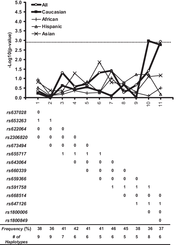 Sliding Window Haplotype-based Studies Of 14 Tsnps - Diagram (734x1012), Png Download