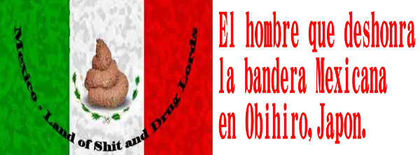 12 Dec - Bandera De Japon Y Mexico (600x222), Png Download