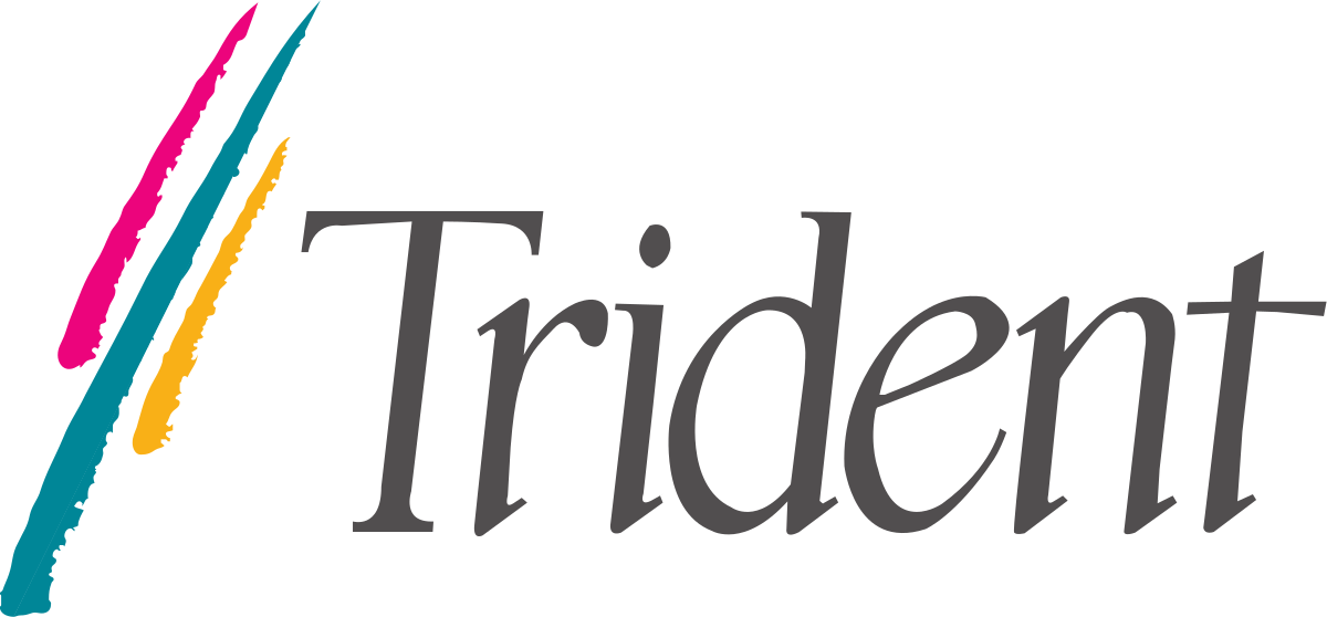 Trident Microsystems (1200x558), Png Download