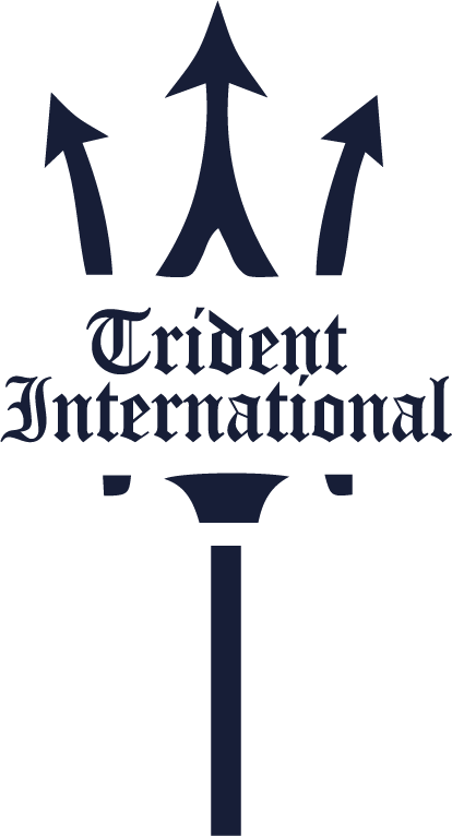 Hillary Clinton-old Blue 400 Button (414x766), Png Download