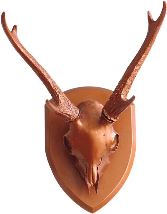 Gold Leaf Design Group Resin Mule Deer Skull With Antlers - Mule Deer (800x775), Png Download