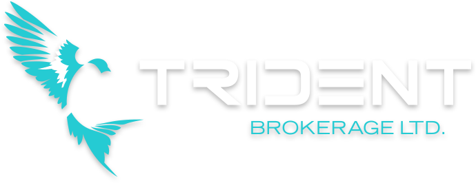 Trident Brokerage Ltd Logo - Trident Brokerage Services Llc (690x266), Png Download