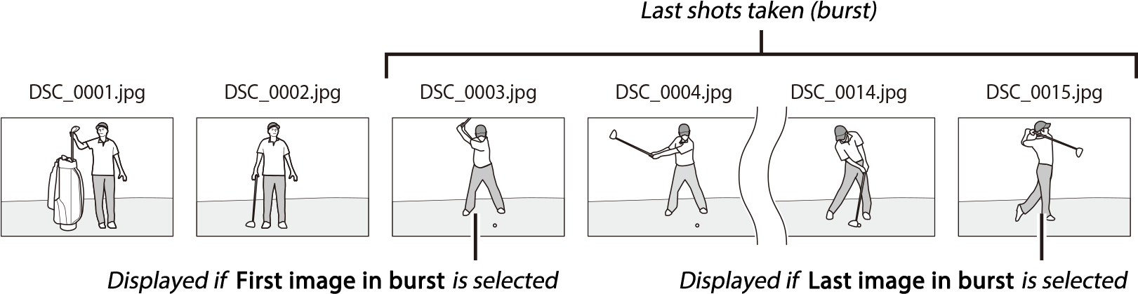 Controls Whether The Photo Displayed At The End Of - Illustration (1622x430), Png Download