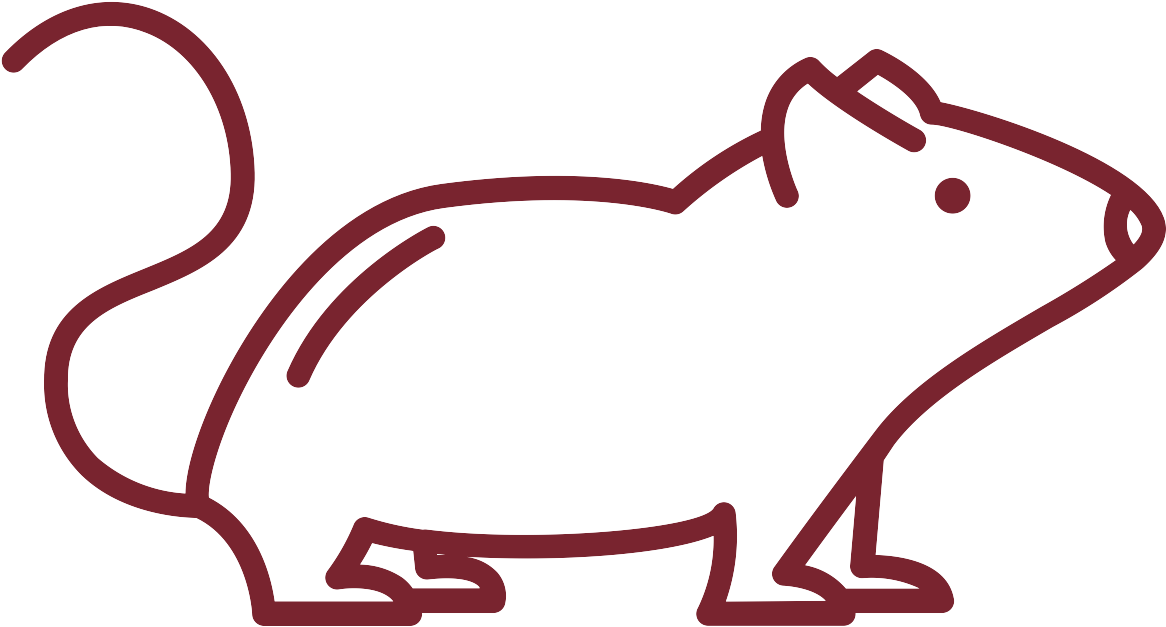 Rodent Tips - Vector Graphics (1200x1200), Png Download