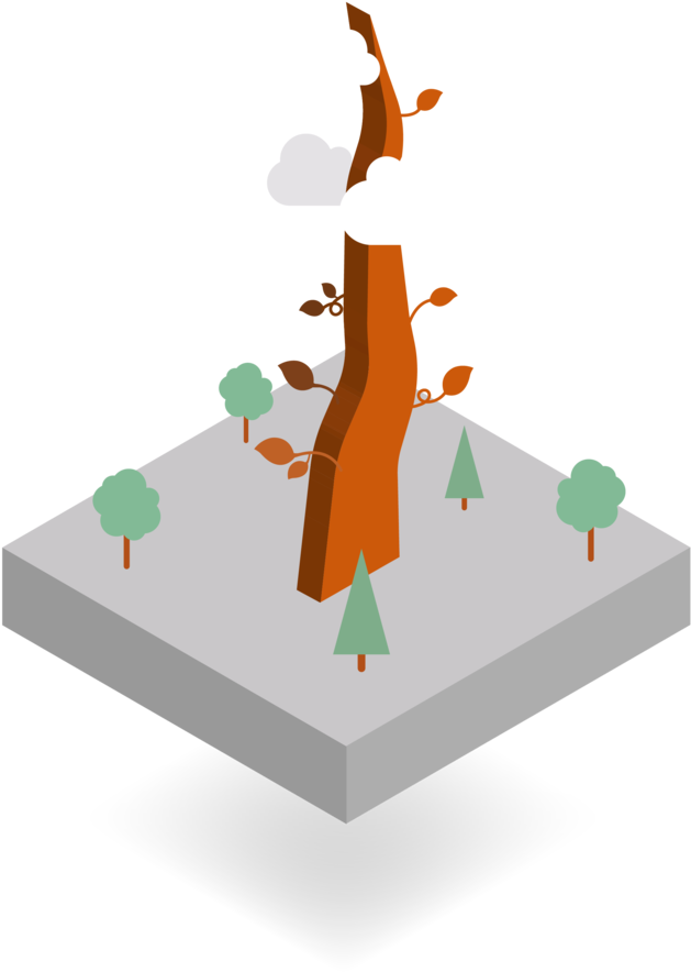 Section Meet The Team (1000x947), Png Download