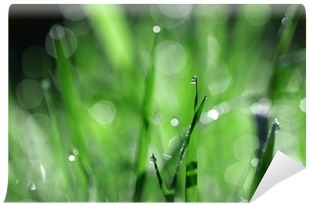 Rain (400x400), Png Download