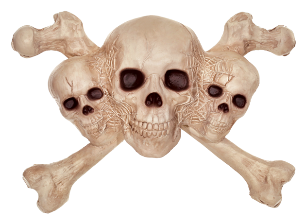 Skulls & Cross Bones - Skull (650x463), Png Download