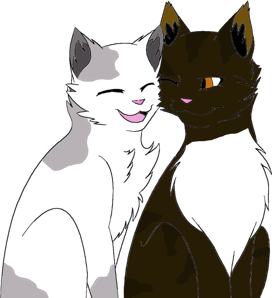 Ketchup X Mountain - Cat Yawns (1024x998), Png Download