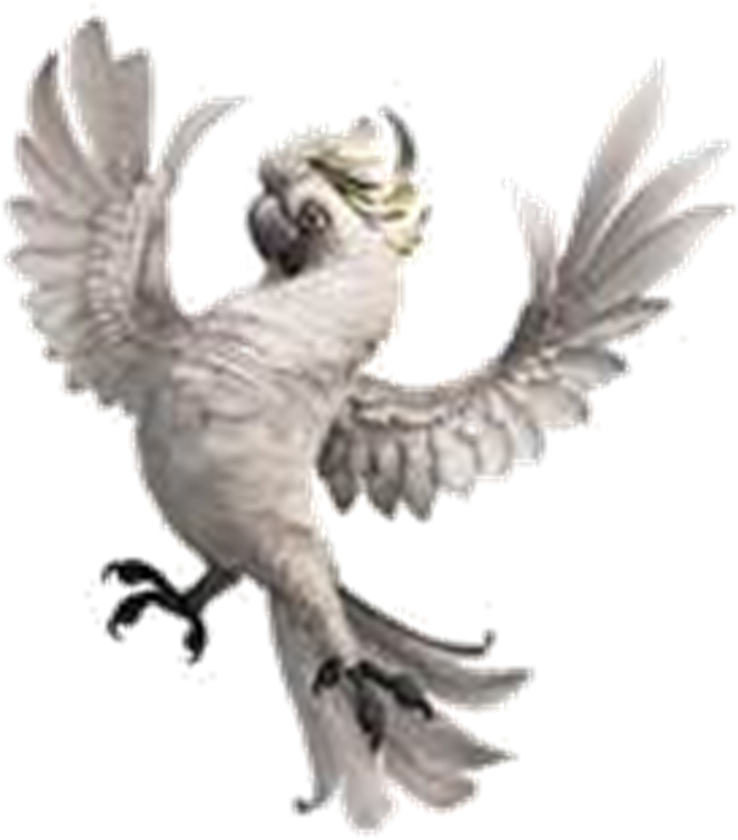 Nigel The Cockatoo - Rio Nigel (780x783), Png Download