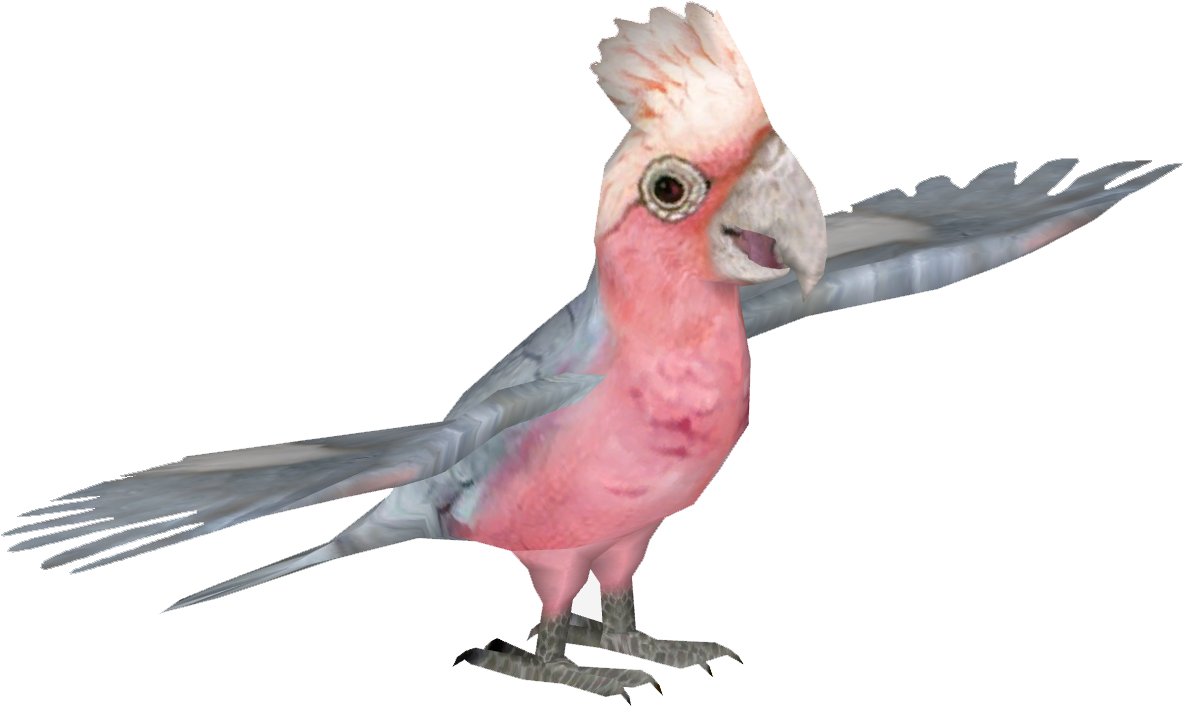 Galah Cockatoo 2 - Cockatoo (1182x1182), Png Download