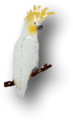 Copper Art Brooch ~ Cockatoo - Aspect Design (427x426), Png Download