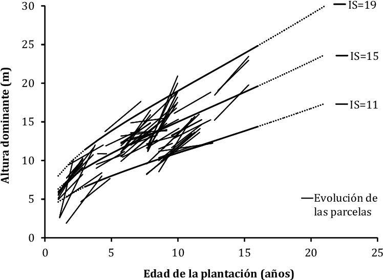 Anamorphic Curves Of Dominant Height With Hossfeldiv - Mexico (792x560), Png Download