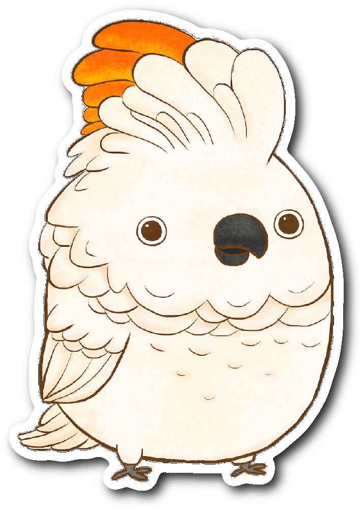 Moluccan Cockatoo Sticker - Cockatoo Sticker (1064x1064), Png Download