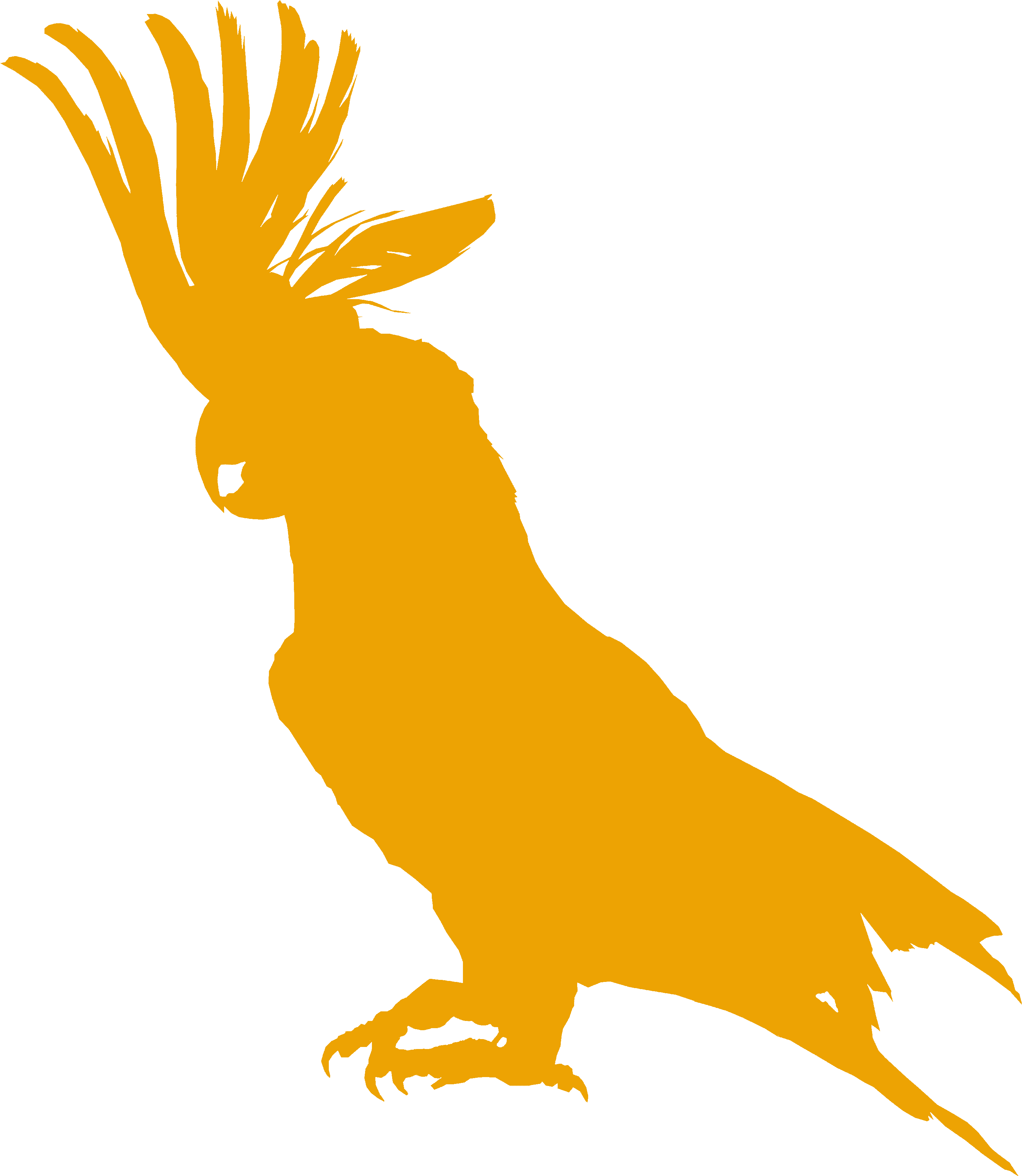 The Cockatoo Bar & Restaurant - Cockatoo (4725x4000), Png Download