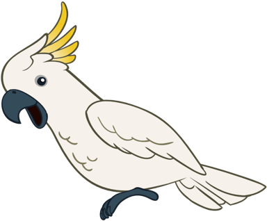 The Following Is A Statement By Pet City That Generally - Perth (400x338), Png Download