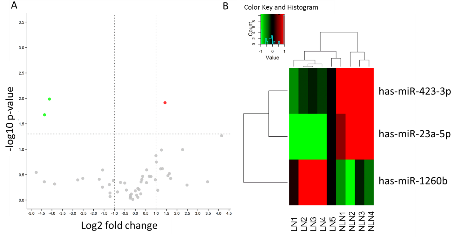 Overexpression Of Mir 1260b In Non Small Cell Lung - Diagram (1516x788), Png Download