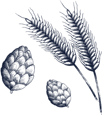 Ingredients Sketch - Amsterdam Beer - Ingredient Biere (420x420), Png Download