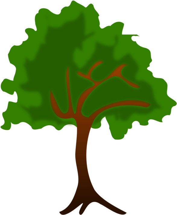 Geography Clipart Tree Computer Icons Vintage Christmas - Árvore Clipart (750x750), Png Download