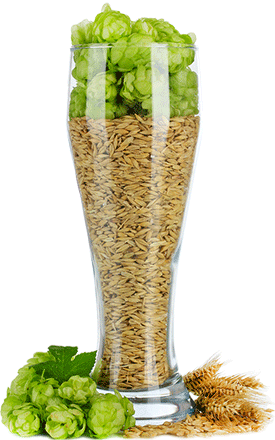 Beer Ingredients - Beer Ingredients Png (275x440), Png Download