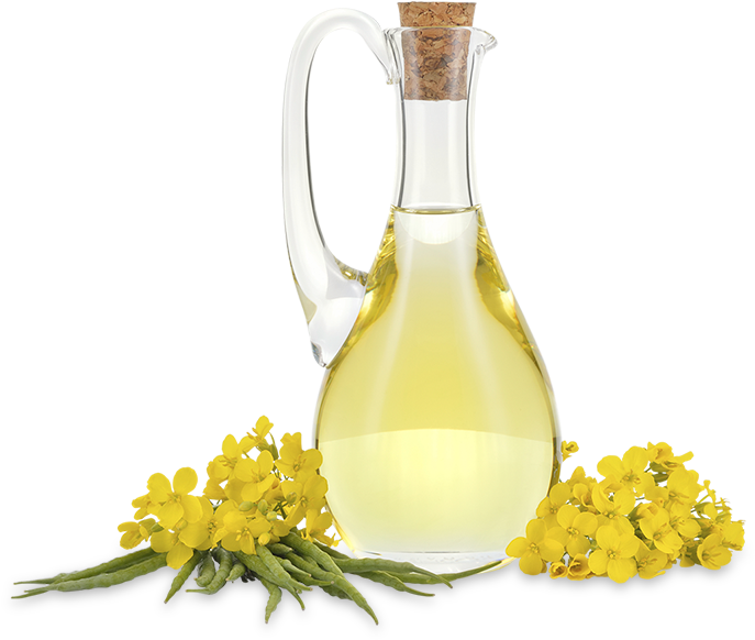 Canola Oil - Canola Oil Png Transparent (720x640), Png Download