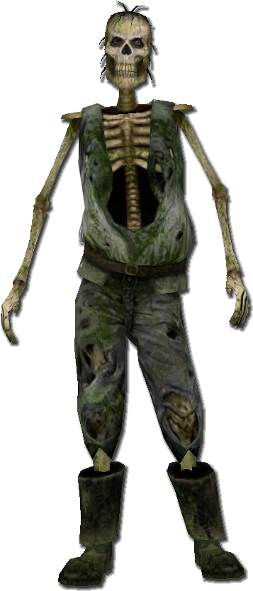 Skeleton - Pirates Of The Caribbean Online Undead (432x893), Png Download