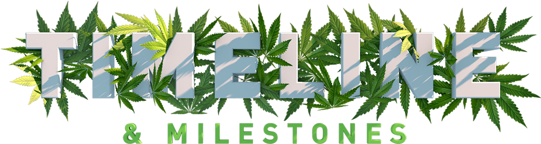 Next Green Wave Is Well Positioned To Become A Key - Tree (1200x337), Png Download