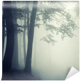 Trees In Counter Light In A Dark Forest Vinyl Wall - Night Forest Mist (400x400), Png Download