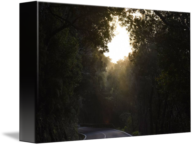 "dark Forest" By Marek Stepan, Malaga Spain - Sun (650x489), Png Download