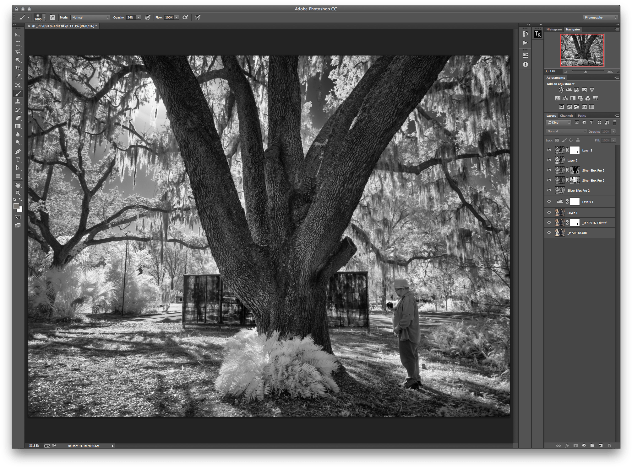 I Like The Sky And Canopy Glow, The Dark Tree, The - Musical Composition (2071x1543), Png Download