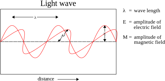 A Light Wave Is An Example Of A Transverse Electromagnetic - Diagram Of Light Wave (610x319), Png Download
