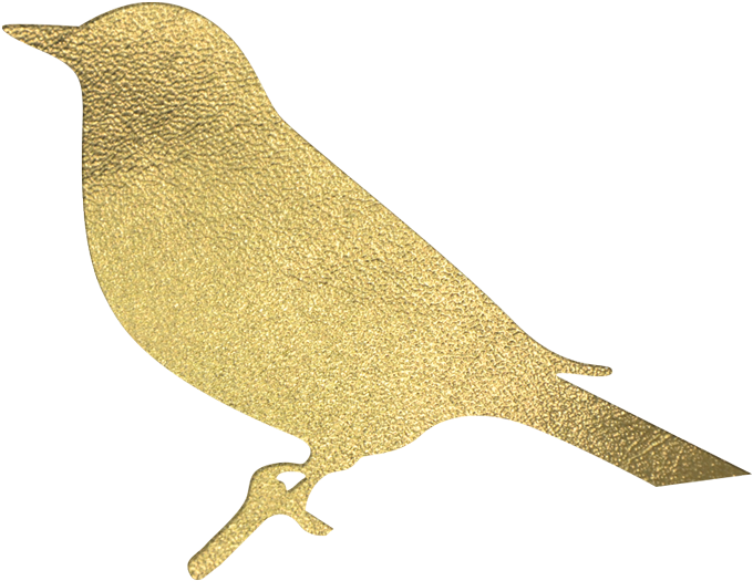 Nightingale (800x800), Png Download