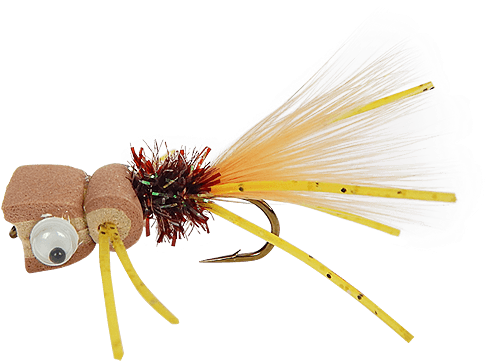 Insect (555x741), Png Download