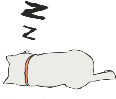 Meow Stub - Meow (450x350), Png Download