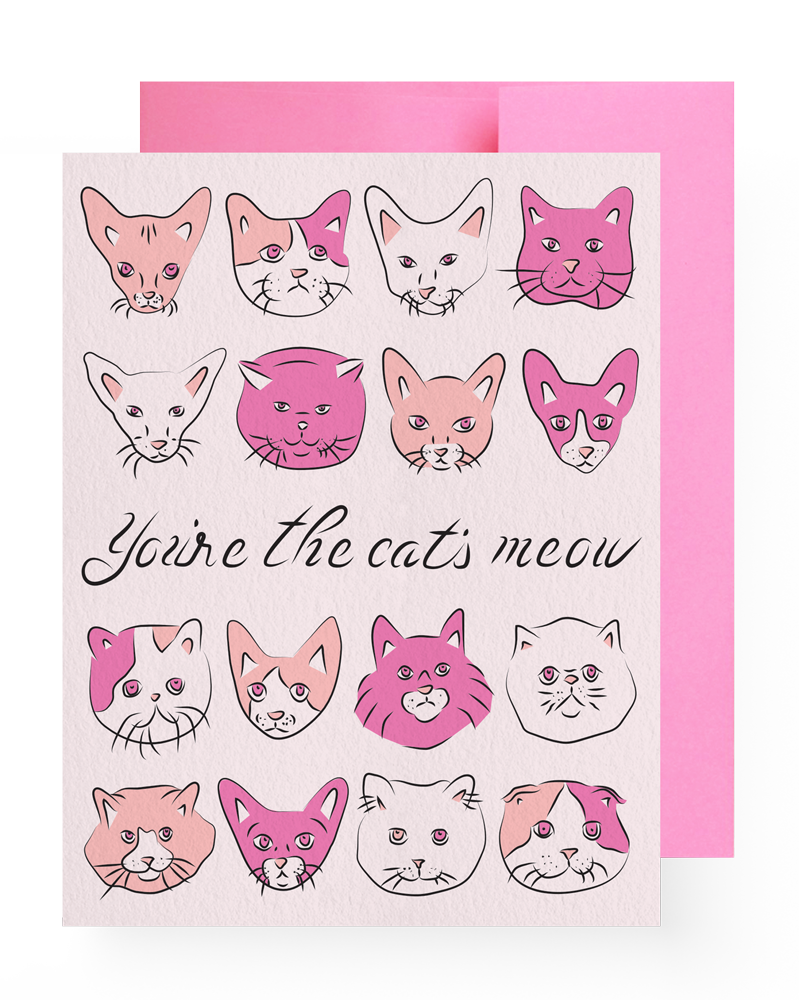 Cat (799x1000), Png Download