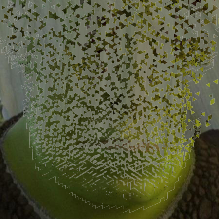 Png - Gourd (450x450), Png Download